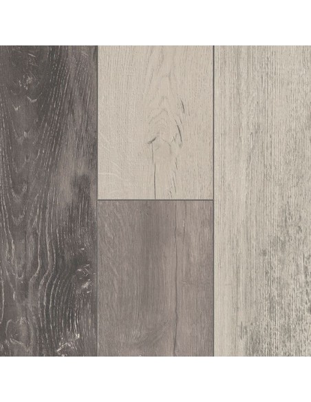 TRENDTIME 1 -SHUFFLEWOOD HARMONY, 1 LAMA