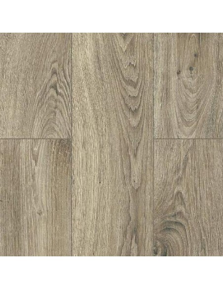 KRONOPOL - TESTA - ROBLE ALADINO - D3309