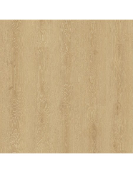 FAUS - TEMPO - ROBLE MIRANDA - S18441 FAUS - TEMPO - ROBLE MIRANDA - S18441