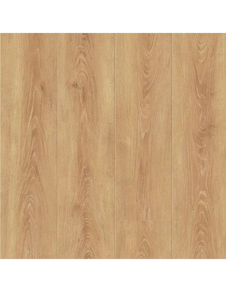 FAUS - SENSE - ROBLE NUTMEG - S180048