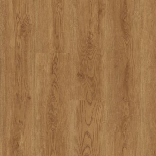 FAUS - COSMOPOLITAN - ROBLE LISBOA - S181175