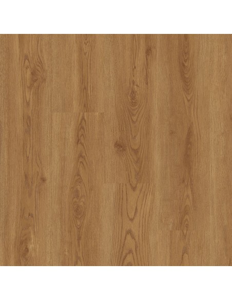 FAUS - COSMOPOLITAN - ROBLE LISBOA - S181175