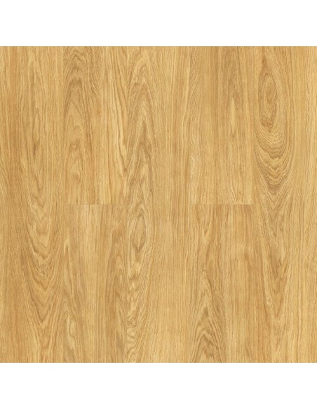 KRONOPOL - MOVIE - ROBLE HOLYWOOD - D4581