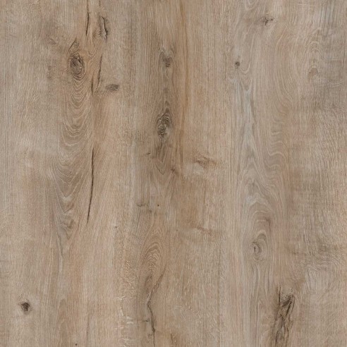 GOLD LAMINATE - ESSENTIAL - ROBLE FLORIDA - E005