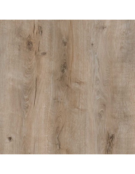 GOLD LAMINATE - ESSENTIAL - ROBLE FLORIDA - E005