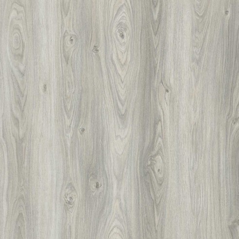 GOLD LAMINATE - ESSENTIAL - ROBLE ALASKA - E007