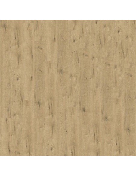 LIBERTY ROCK 40 ACOUSTIC ULTRAMATE AUGUSTINE 643416