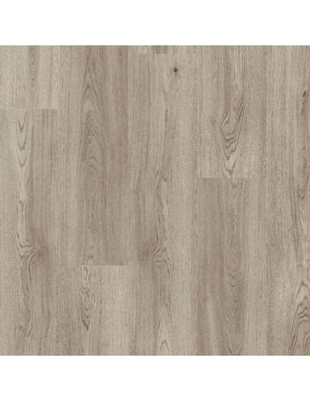 BALTERIO - IMMENSO - ROBLE BOREAL - IMM61078
