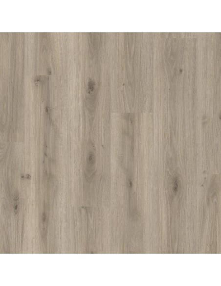 BALTERIO - LIVANTI - ROBLE PADUA- LVI61089