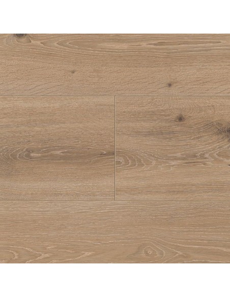 PARADOR - TRENDTIME 6 - ROBLE CASTELL CALIZO -  1371173