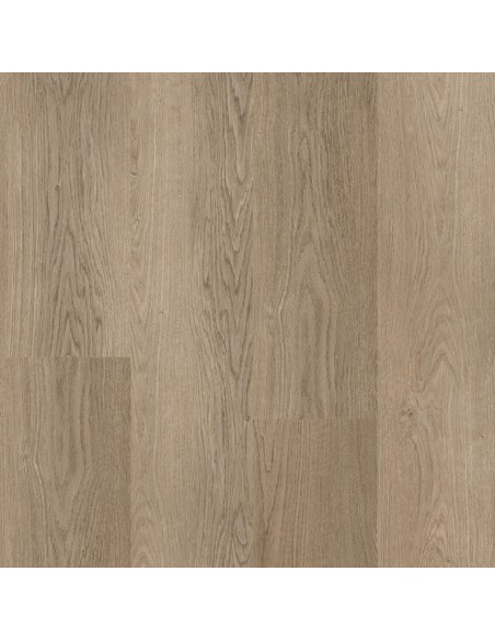 V LINE - PROJECT BY V-LINE - REGENCY OAK - 808