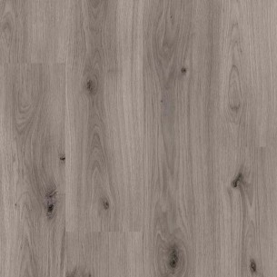 DISFLOOR TOP AC4 8MM V4 ROBLE GRIS BRUMA 36899