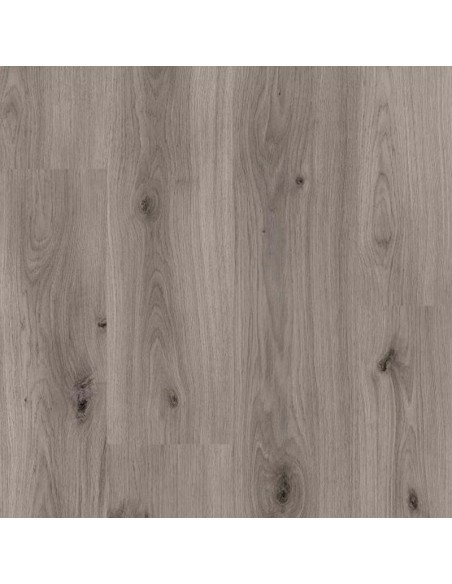 DISFLOOR TOP AC4 8MM V4 ROBLE GRIS BRUMA 36899
