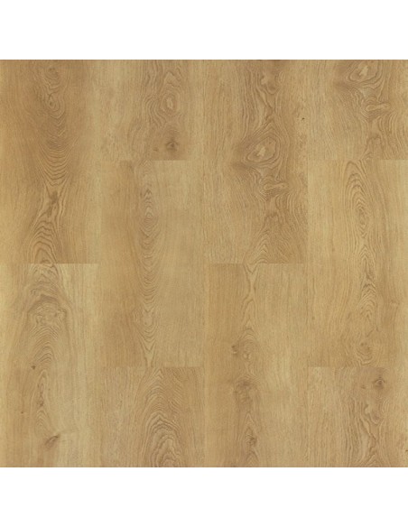 GALAXY LINE SERIE ORION WIDE SILENCE CAMEL