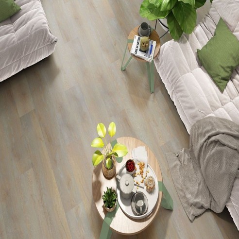 GALAXY LINE SERIE ORION WIDE SILENCE CAMEL