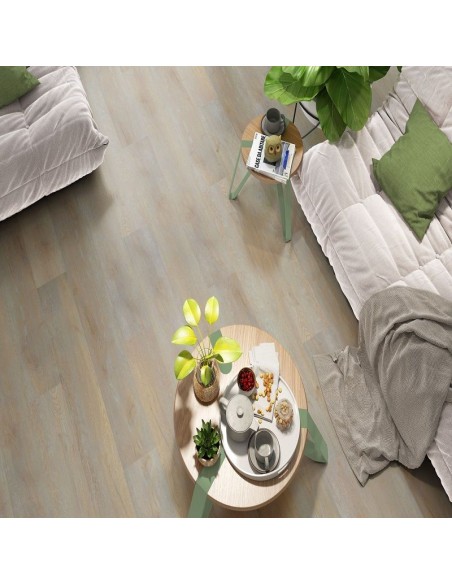 GALAXY LINE SERIE ORION WIDE SILENCE CAMEL