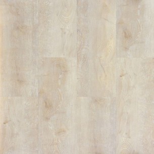 GALAXY LINE SERIE ORION WIDE SILENCE CAMEL