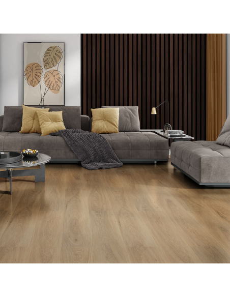 GALAXY LINE SERIE ORION WIDE SILENCE CAMEL