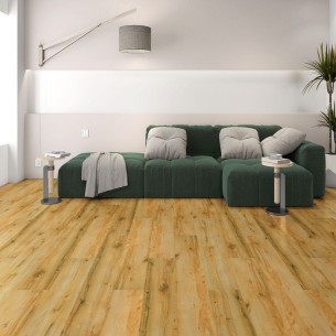 GALAXY LINE SERIE ORION XL SILENCE WILD 2