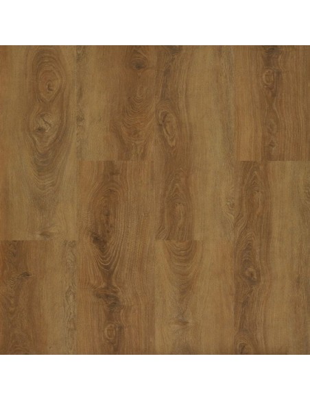 GALAXY LINE SERIE ORION XL SILENCE N CARAMEL