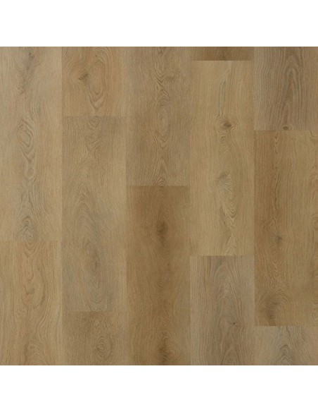 GALAXY LINE SERIE ORION LARGE SILENCE HICKORY