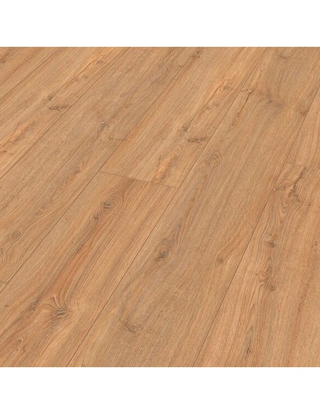 MEISTER - LC150 - ROBLE NOVA - 6413