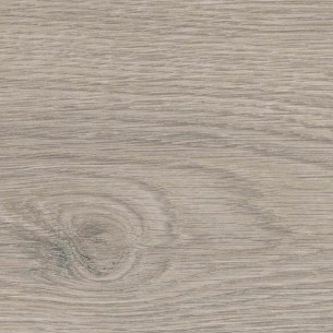 HARO TRITTY 100 4V ROBLE FLAVIA GRIS 544702 2