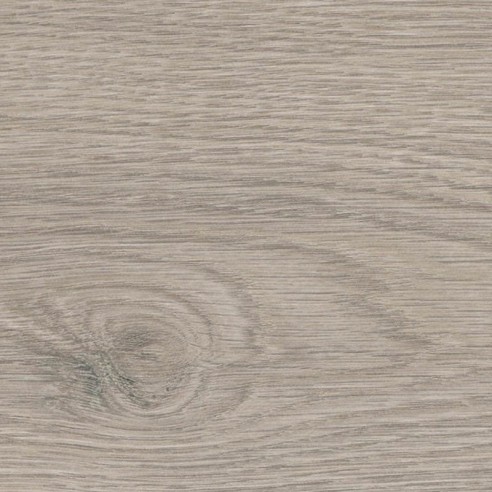 HARO TRITTY 100 4V ROBLE FLAVIA GRIS 544702