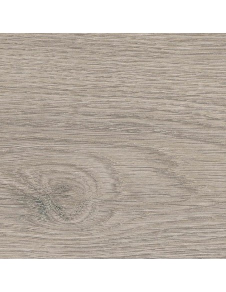 HARO TRITTY 100 4V ROBLE FLAVIA GRIS 544702