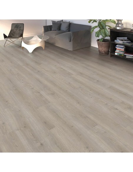 HARO TRITTY 100 4V ROBLE FLAVIA GRIS 544702