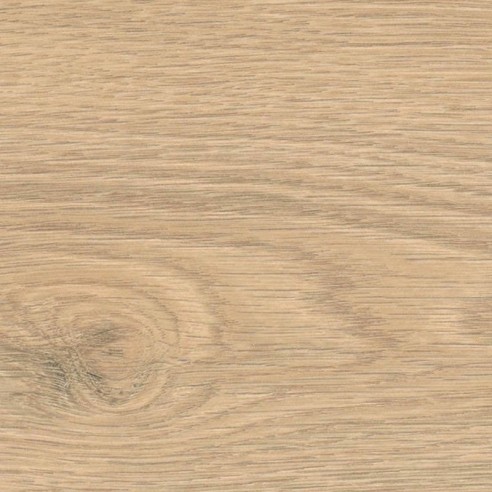 HARO TRITTY 100 4V ROBLE FLAVIA PURO 544711