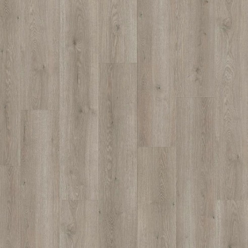 HARO TRITTY 100 CAMPUS ROBLE FLAVIA GRIS 544754