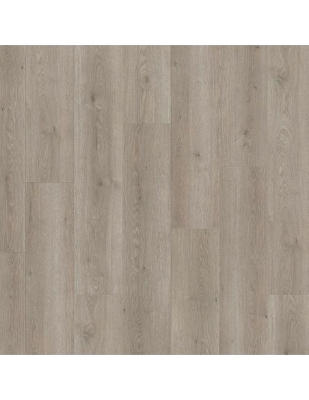 HARO TRITTY 100 CAMPUS ROBLE FLAVIA GRIS 544754