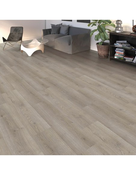 HARO TRITTY 100 CAMPUS ROBLE FLAVIA GRIS 544754
