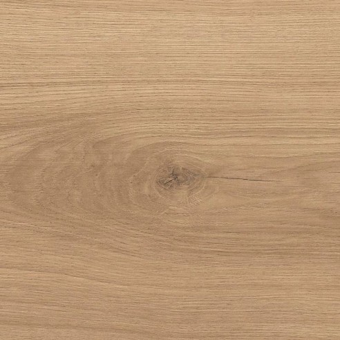 HARO TRITTY 100 CAMPUS ROBLE EMILIA PURO 4538750