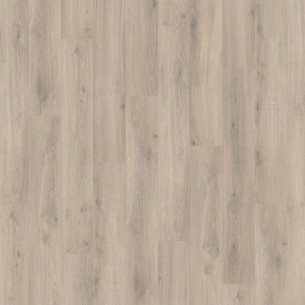 HARO TRITTY 100 CAMPUS ROBLE EMILIA GRIS TERC. 540244 2