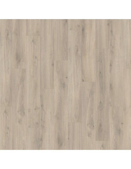 HARO TRITTY 100 CAMPUS ROBLE EMILIA GRIS TERC. 540244