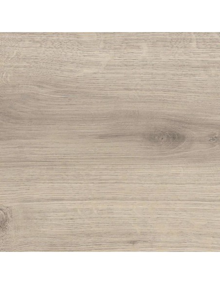 HARO TRITTY 100 CAMPUS ROBLE EMILIA GRIS TERC. 540244
