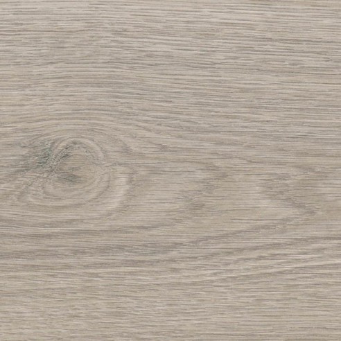 HARO TRITTY 100 GRAN VIA ROBLE FLAVIA GRIS 544726