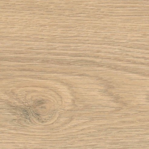 HARO TRITTY 100 GRAN VIA ROBLE FLAVIA PURO 544735