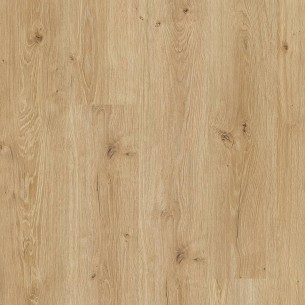 FAUS - ECO - ROBLE ALBORÁN - S184152