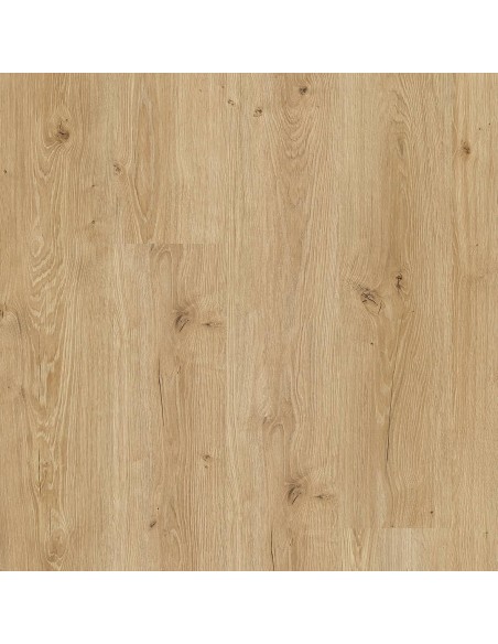 FAUS - ECO - ROBLE ALBORÁN - S184152