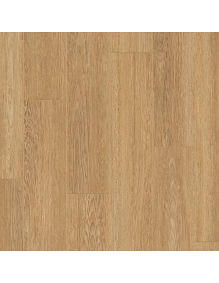 DISFLOOR TOP 8MM AC5 ROBLE NOVEL 33804