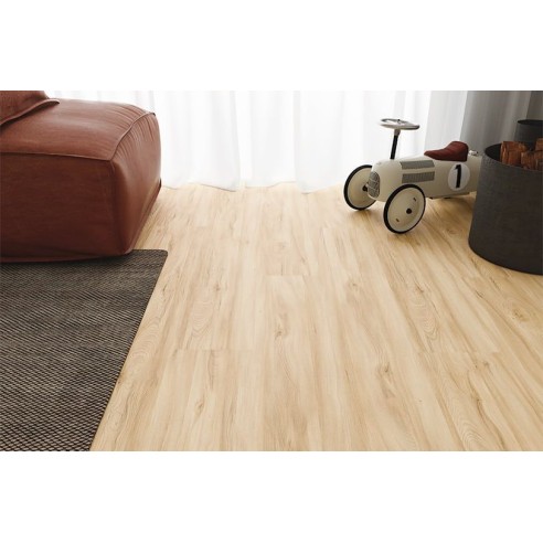 FAUS - ECO - ARCE DEVA - S184169