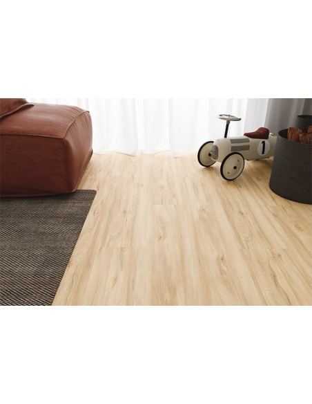 FAUS - ECO - ARCE DEVA - S184169