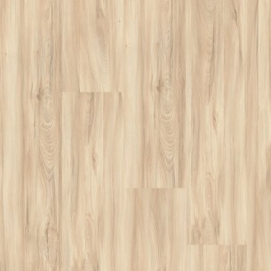 FAUS - ECO - ARCE DEVA - S184169