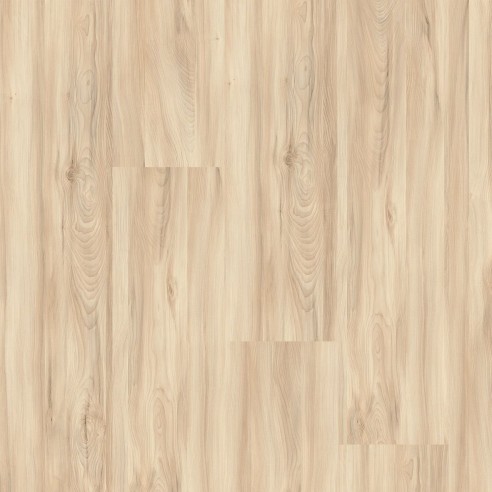 FAUS - ECO - ARCE DEVA - S184169