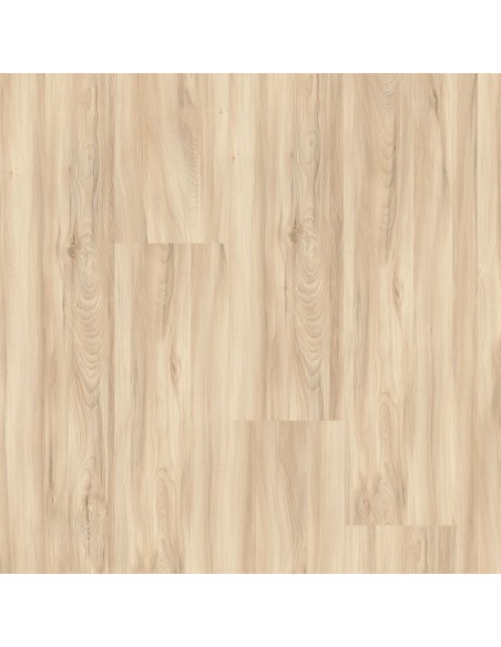 FAUS - ECO - ARCE DEVA - S184169