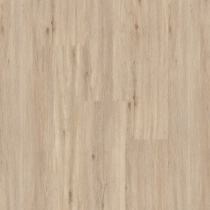 FAUS TEMPO ROBLE CHAMPAGNE S184473