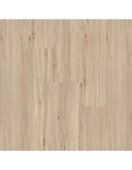 FAUS TEMPO ROBLE CHAMPAGNE S184473